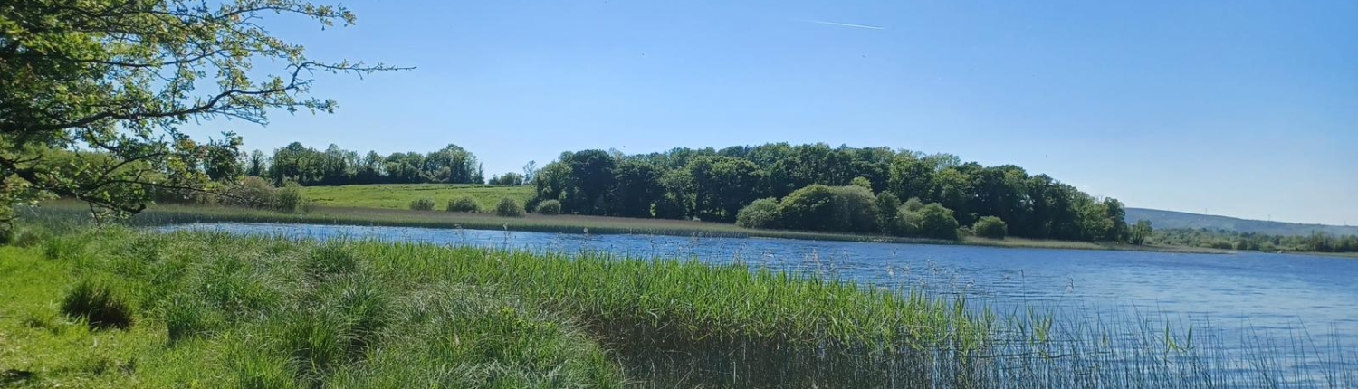 e195ab3e-e78d-4ebb-b459-3ad291fcca0f